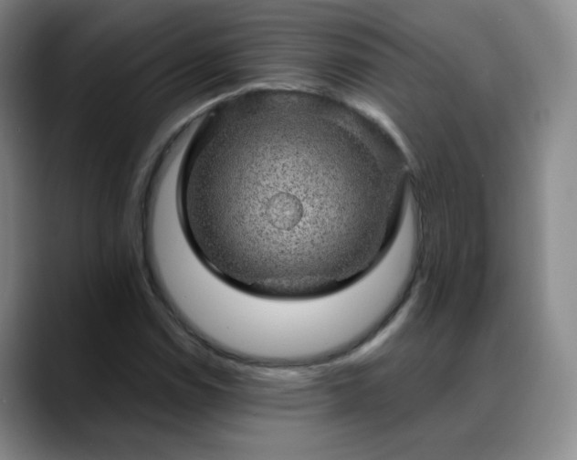 X0000088871114200706151748