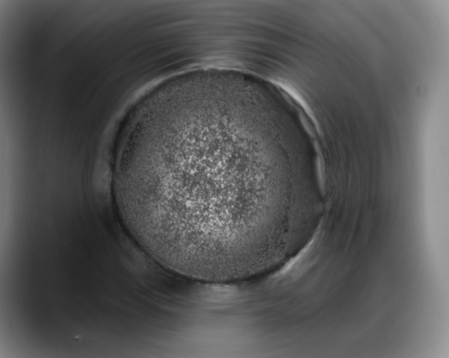 X0000088871115200706151748