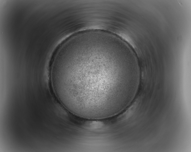 X0000088871119200706151748