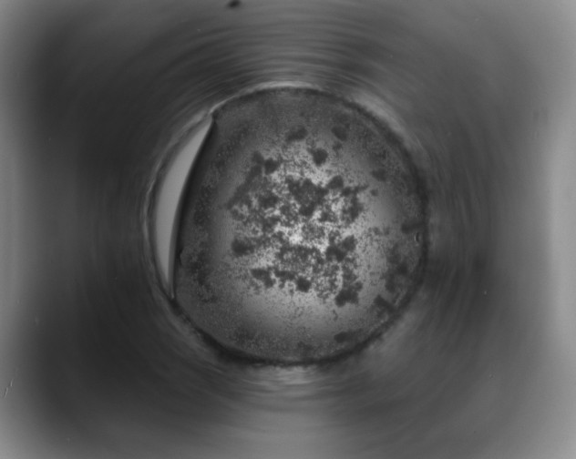 X0000088871121200706151748