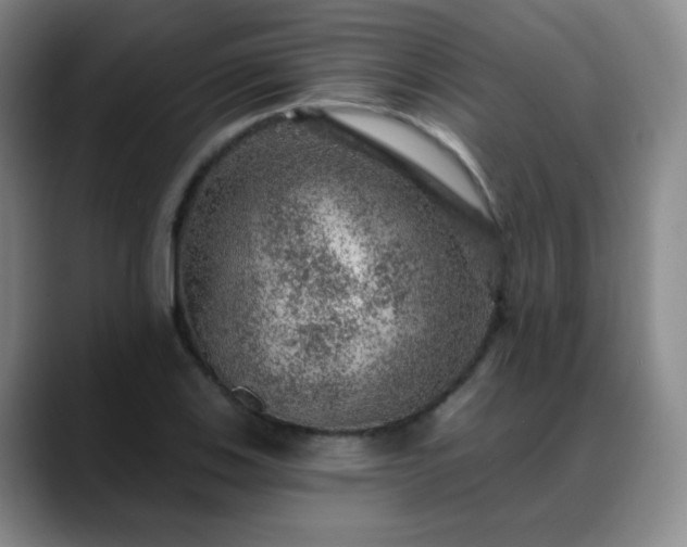 X0000088871123200706151749