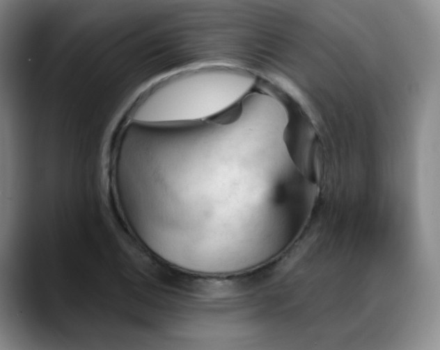 X0000088871124200706151749