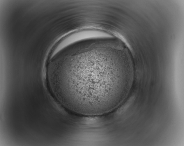 X0000088871125200706151749