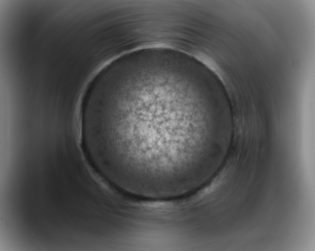 X0000088871127200706151749