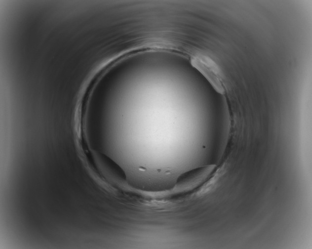X0000088871128200706151749