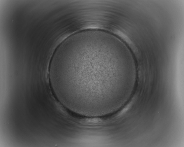 X0000088871129200706151749