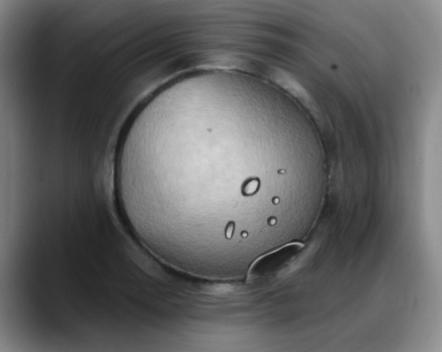 X0000088871130200706151749
