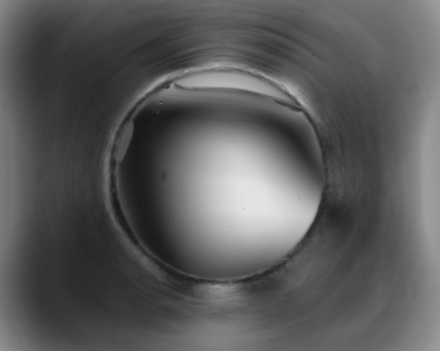 X0000088871134200706151749