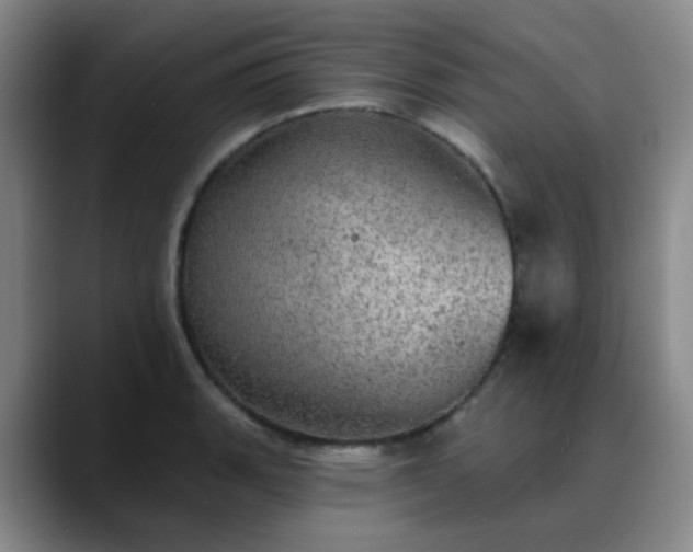 X0000088871135200706151749