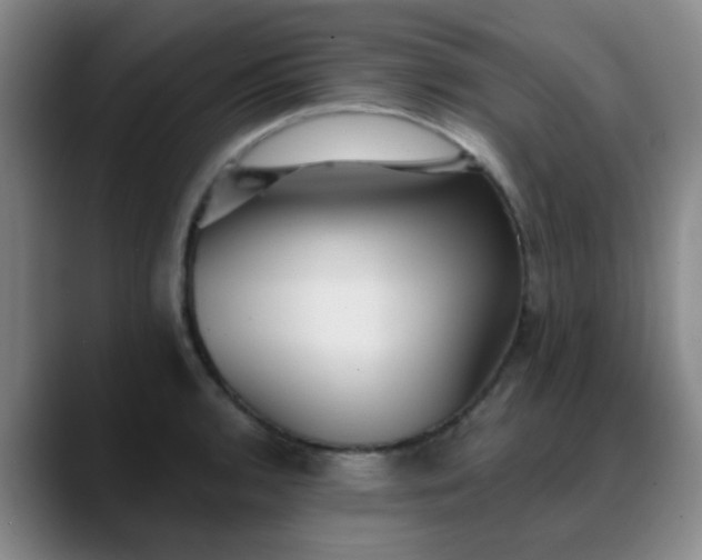 X0000088871136200706151749