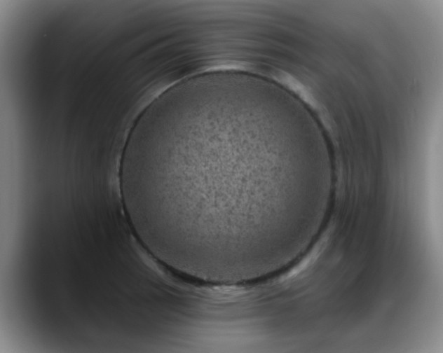 X0000088871137200706151749