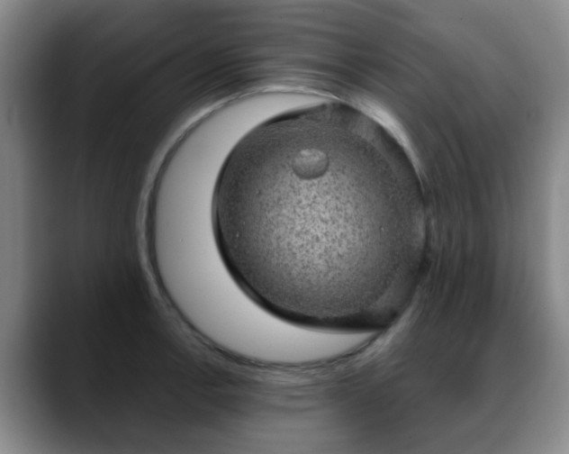 X0000088871138200706151749