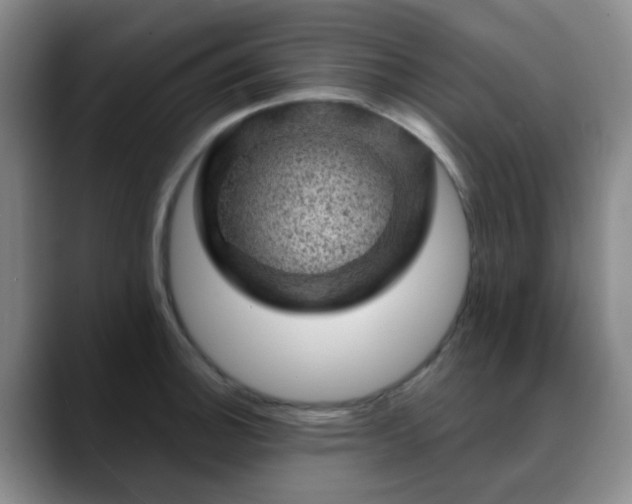 X0000088871140200706151749