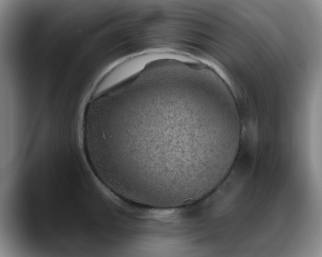 X0000088871143200706151749