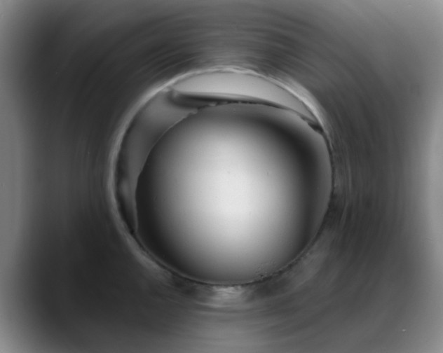 X0000088871144200706151749