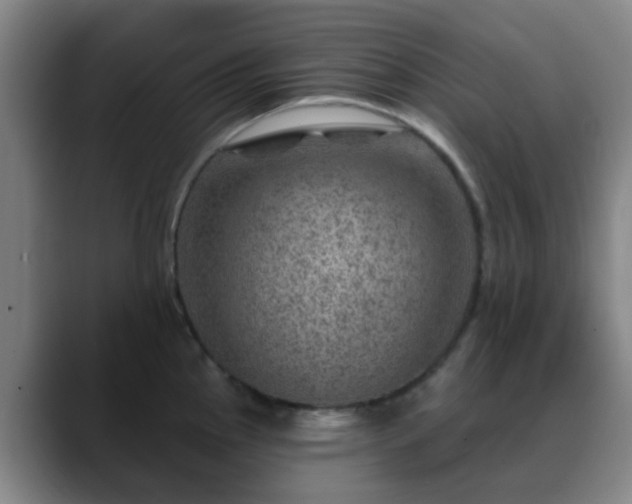 X0000088871145200706151749