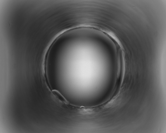 X0000088871148200706151749