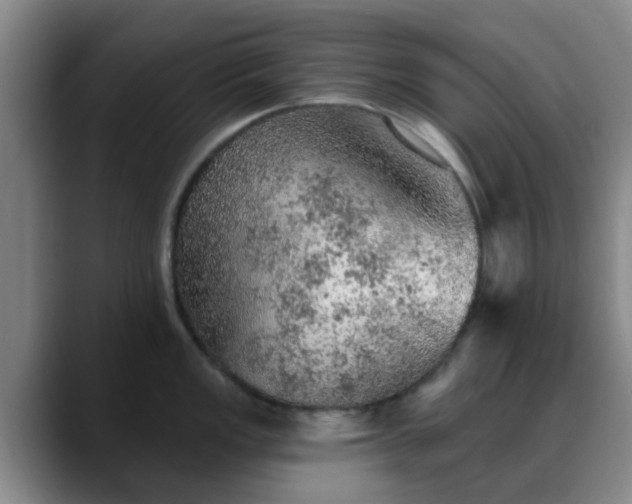 X0000088871149200706151749