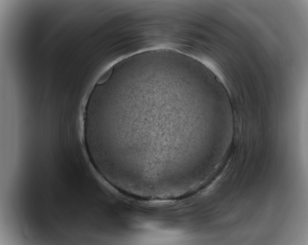X0000088871151200706151749