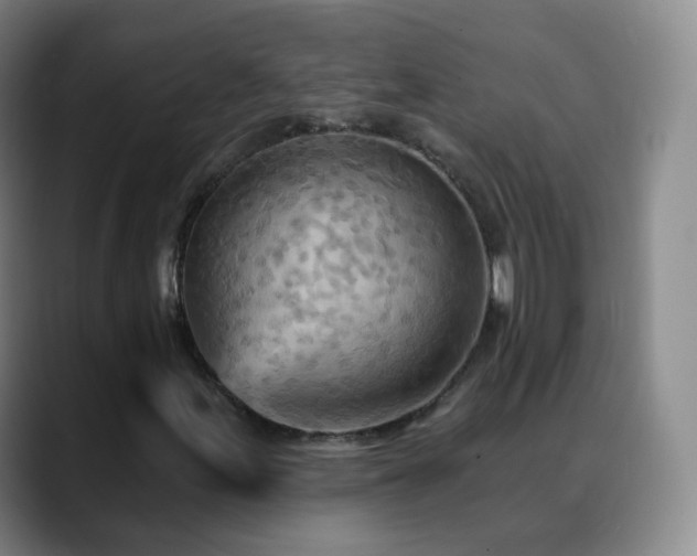 X0000088871155200706151748