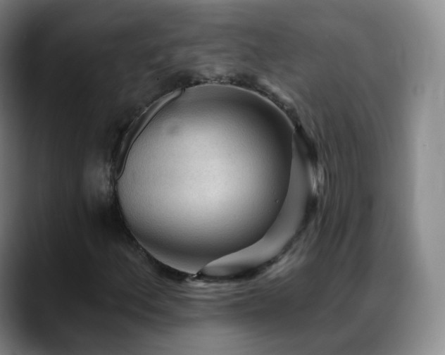 X0000088871156200706151748