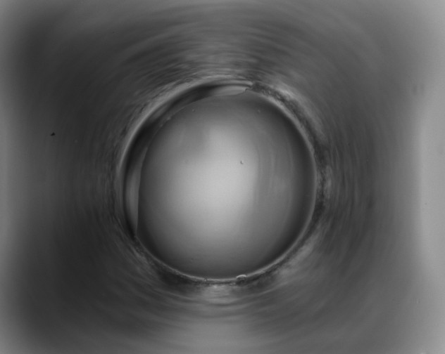 X0000088871161200706151748