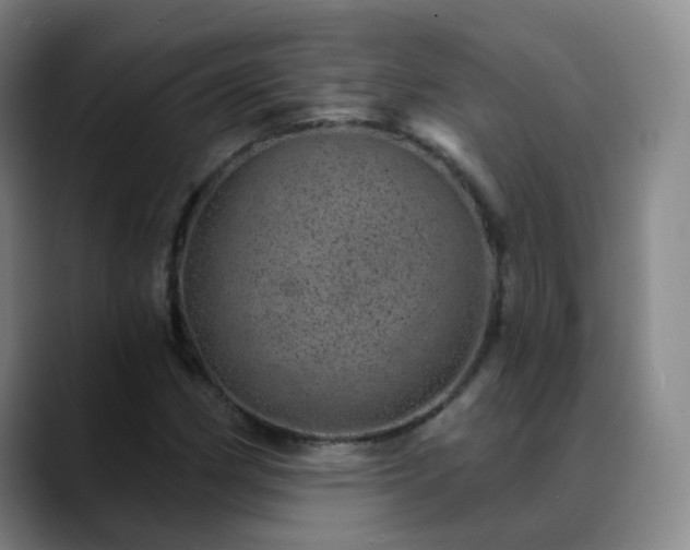 X0000088871162200706151748