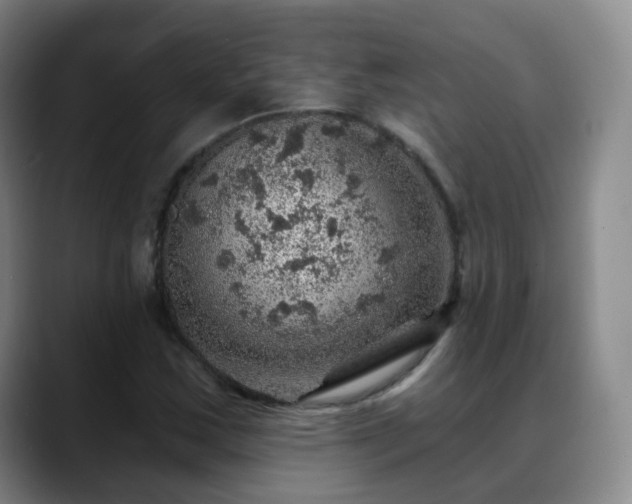 X0000088871163200706151748