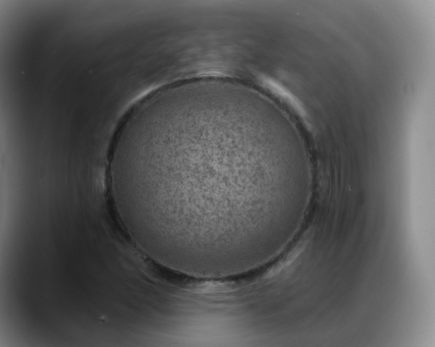 X0000088871166200706151748