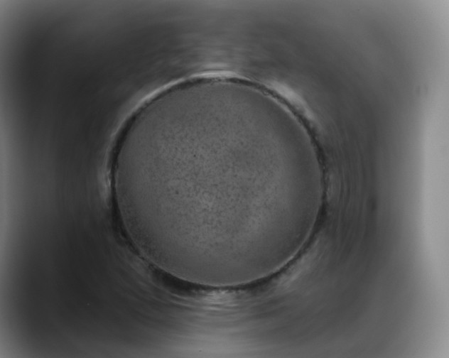 X0000088871167200706151748