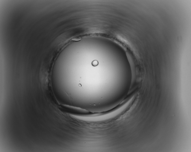 X0000088871169200706151748