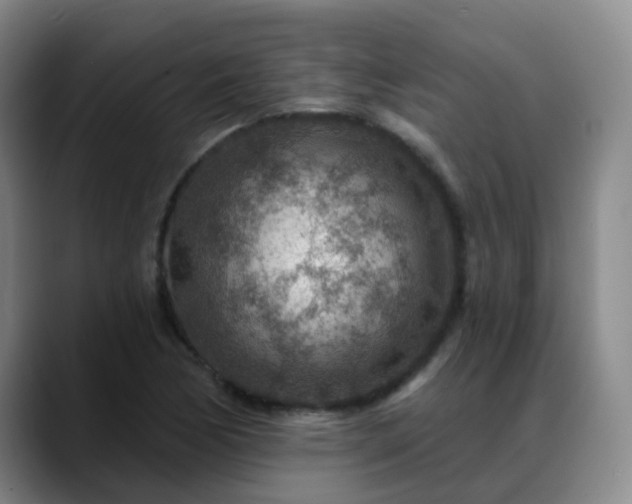 X0000088871170200706151748
