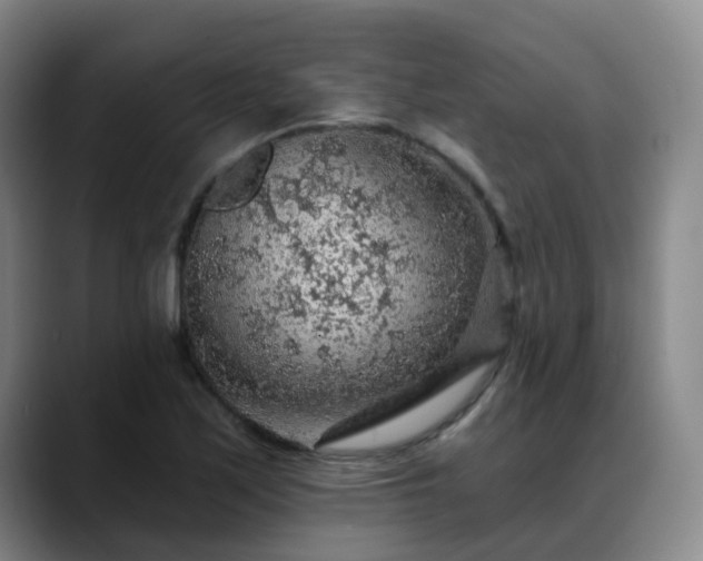 X0000088871171200706151748