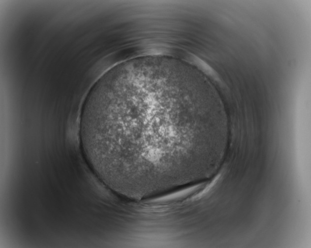 X0000088871178200706151748