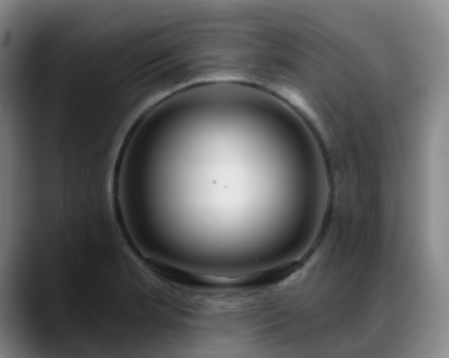 X0000088871181200706151748