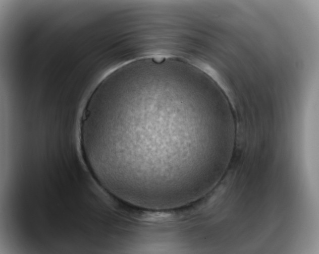 X0000088871187200706151748
