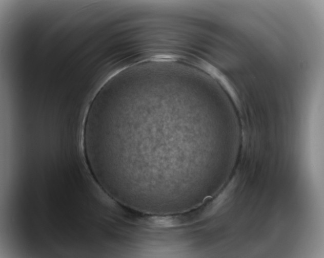 X0000088871194200706151748