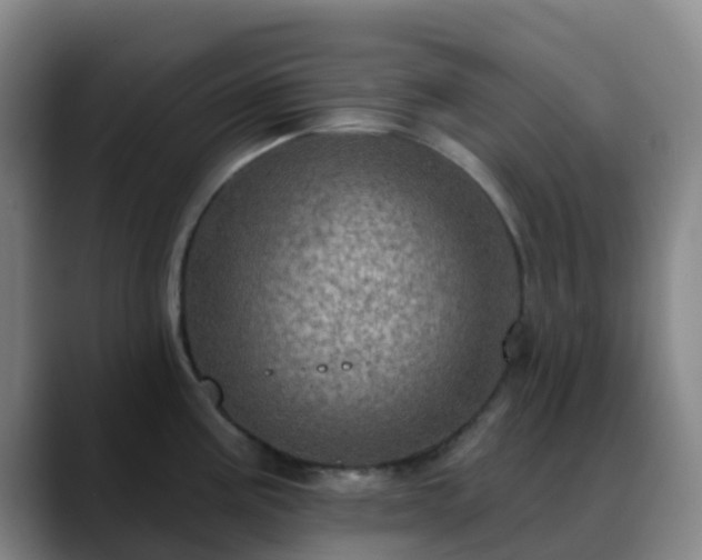 X0000088871195200706151748