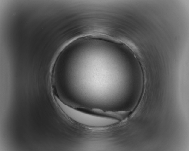 X0000088871200200706151748