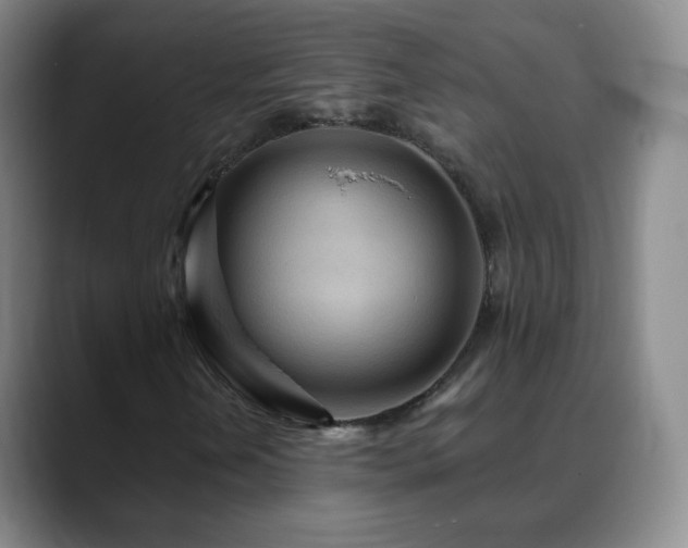 X0000088871202200706151747