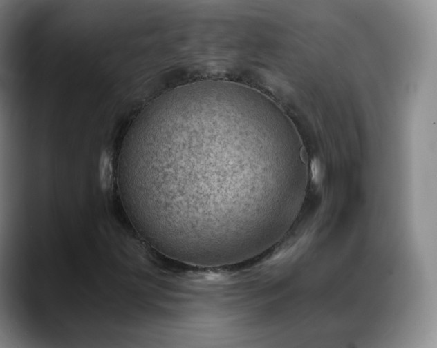 X0000088871203200706151747