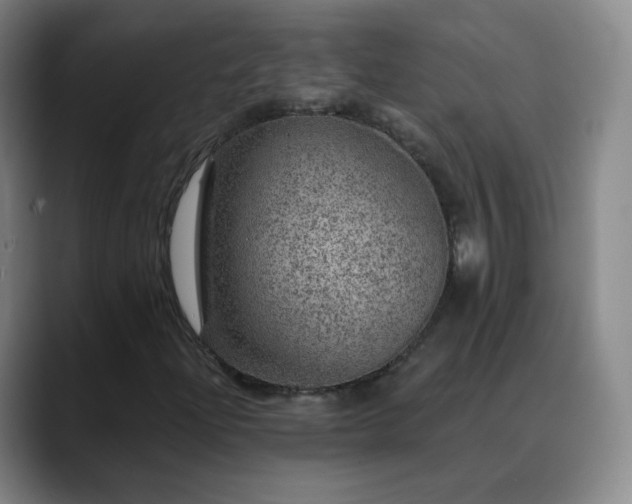 X0000088871204200706151747