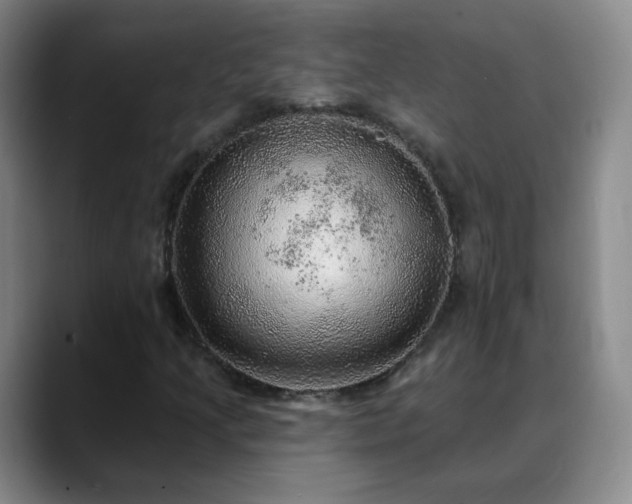 X0000088871205200706151747