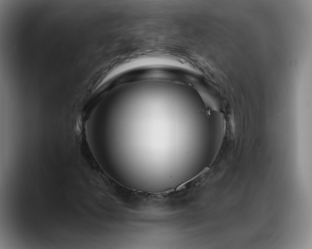 X0000088871206200706151747