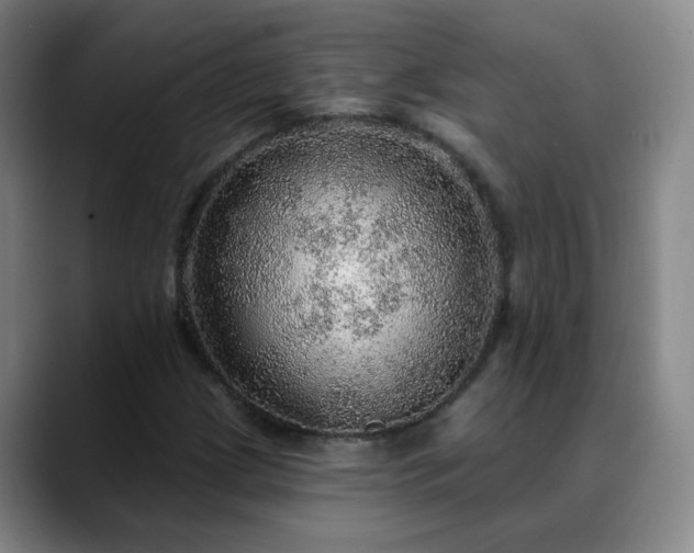 X0000088871209200706151747