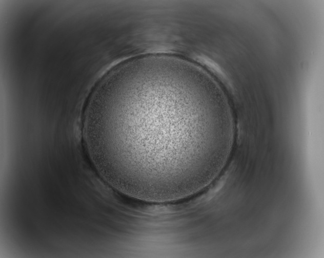 X0000088871212200706151747
