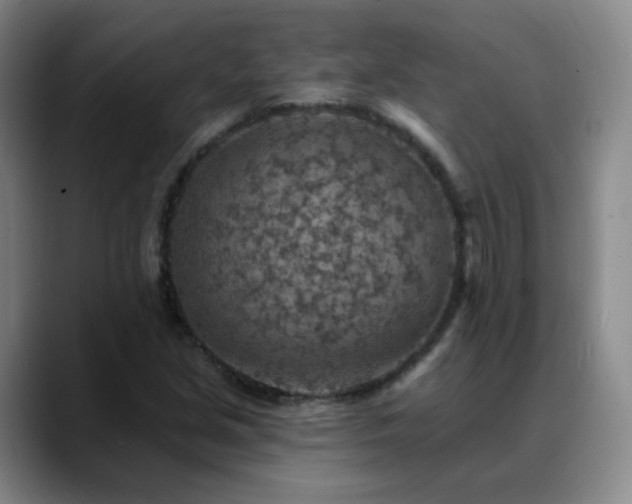 X0000088871213200706151747