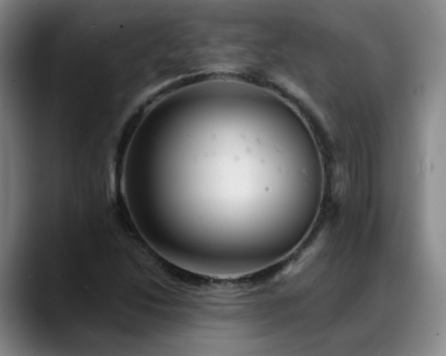 X0000088871214200706151747