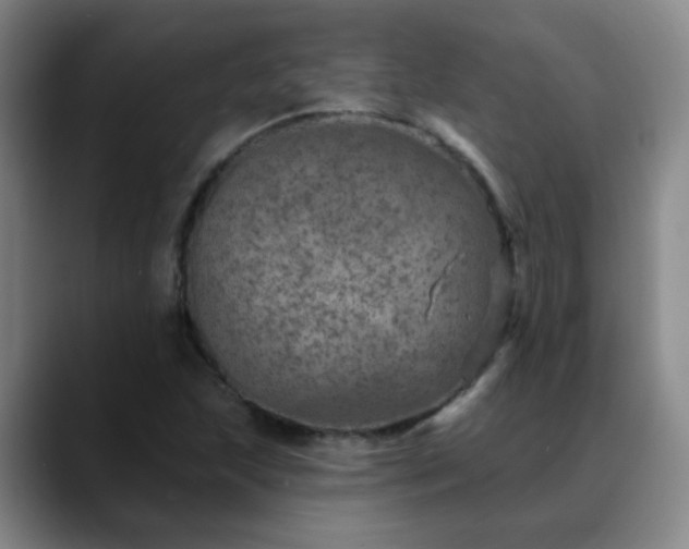 X0000088871215200706151747