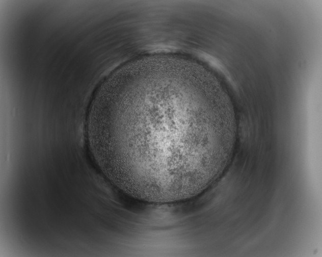 X0000088871217200706151747
